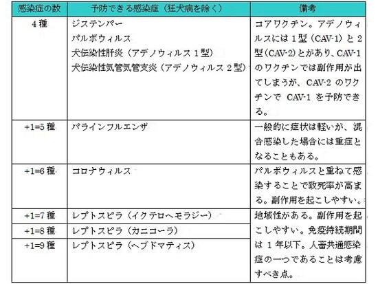 画像 愛犬のワクチン 適切な接種時期は 犬 All About