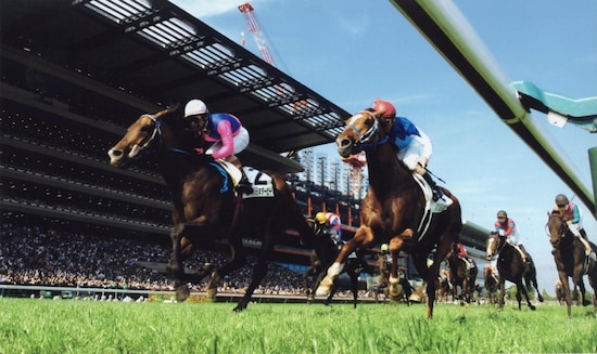 derby