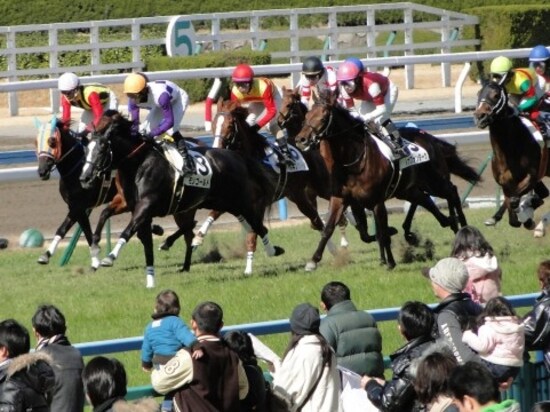 レース画像