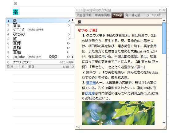 プレミアム/スーパープレミアムには。小学館の大辞泉が用意されています