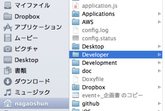 developer