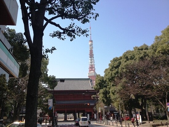 同店近くには増上寺や東京タワーも