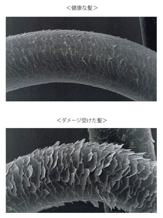 ダメージ髪