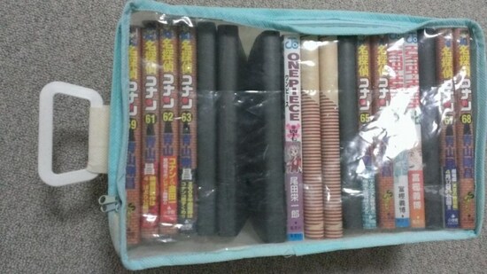 100円ショップで購入した収納袋　