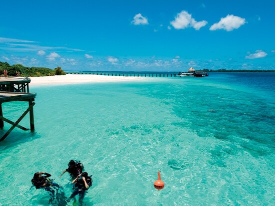 ハウスリーフの良さも人気の秘訣。ウミガメが現れることも！