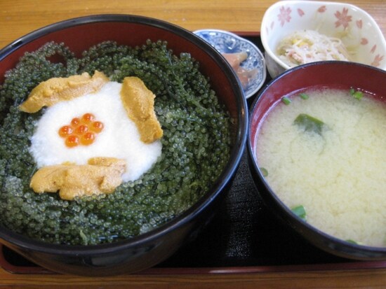 「元祖海ぶどう本店」