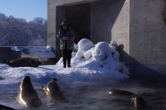「旭山動物園」