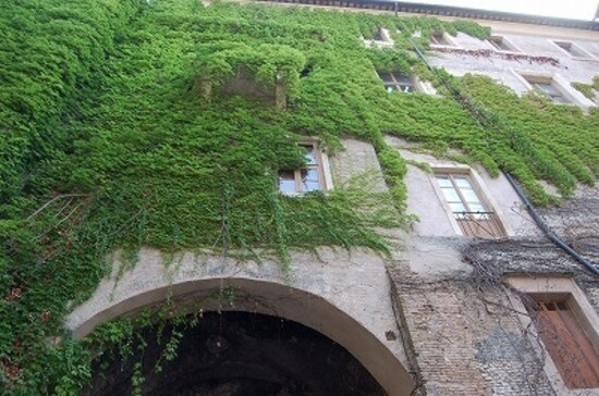 ローマの街並み