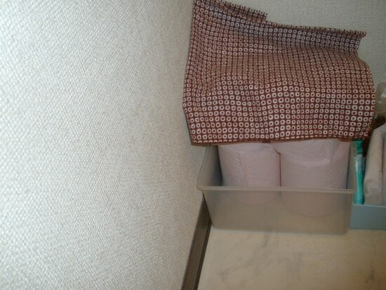 ディスクケースにトイレットペーパー