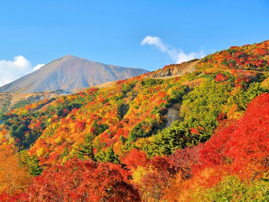 山の中を通る道路