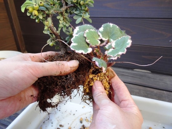 手の中で花束を組むように配置決め