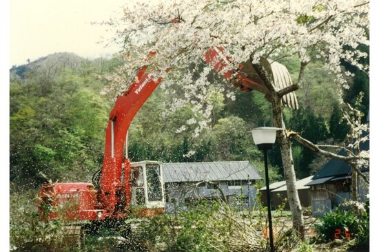 《花盛りなのに》1985年