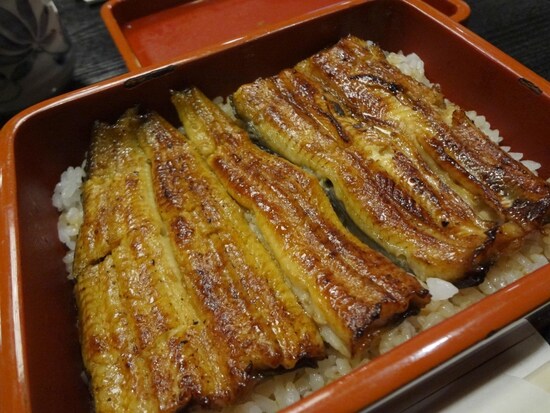 喜代川うな重菊