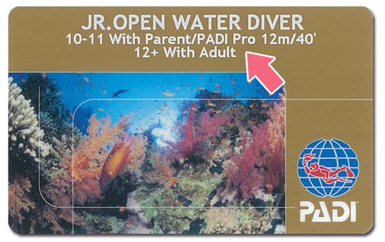 スキューバダイビング,スクーバ,ダイビング,年齢