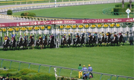 2014derby