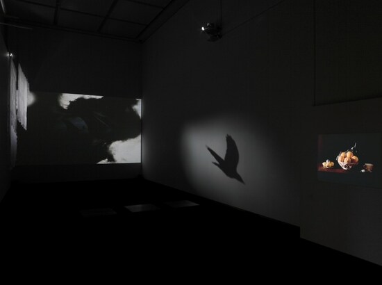 MOT Collection,  東京都現代美術館, 2011　Photo (C)椎木静寧