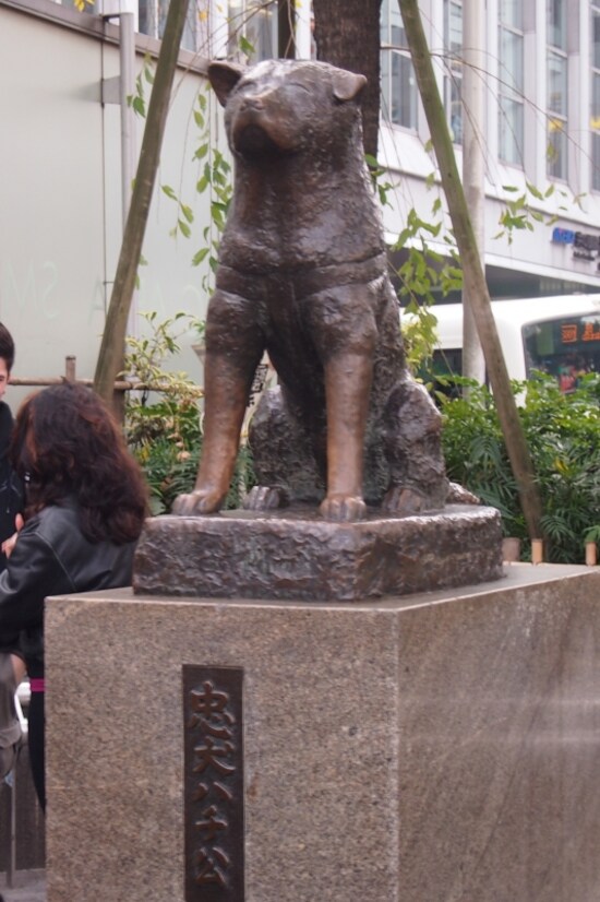 平日昼間なのに人でいっぱい！