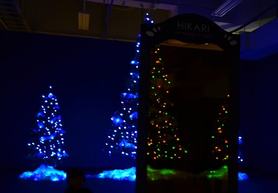 コクーンツリー