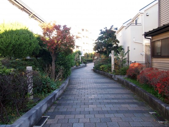 蛇行しながら進む