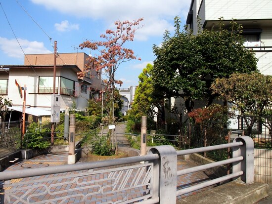 いいかんじの緑道だ