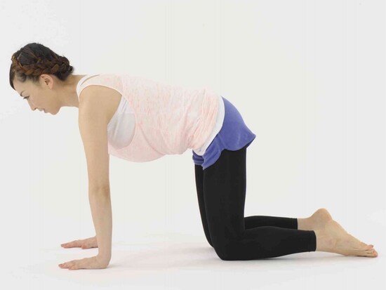 背骨から尾てい骨まで一直線に