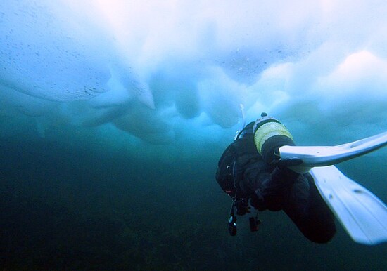 流氷ダイビング,流氷,クリオネ
