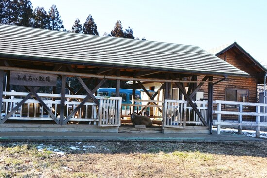ふれあい牧場の主が羊山公園の名づけ親