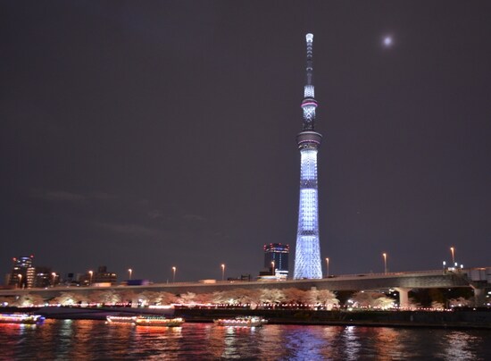 墨田川沿いの桜とスカイツリー