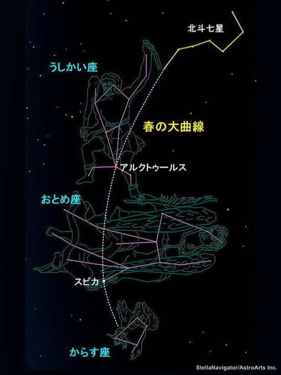 春の大曲線