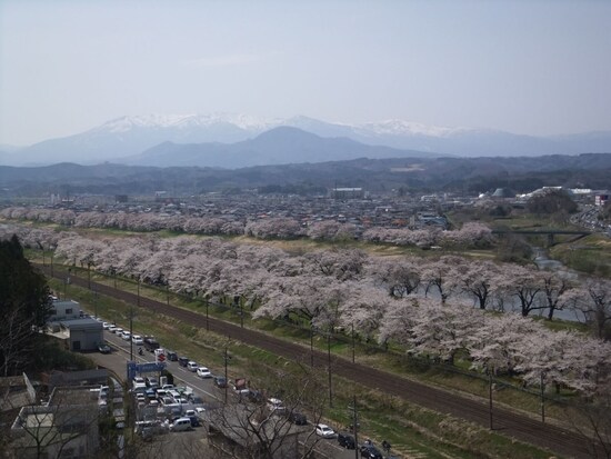 白石川堤一目千本桜（7）／船岡城址公園より大河原方面を望む