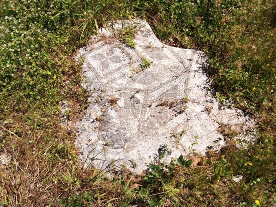 palermo13