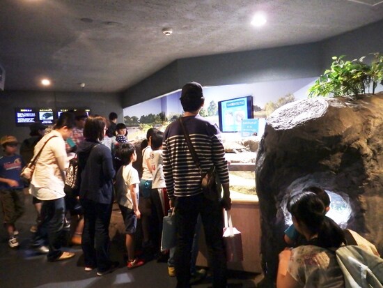 子どもの歓声が響くタッチングコーナー