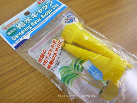 撮影用バックスリーン