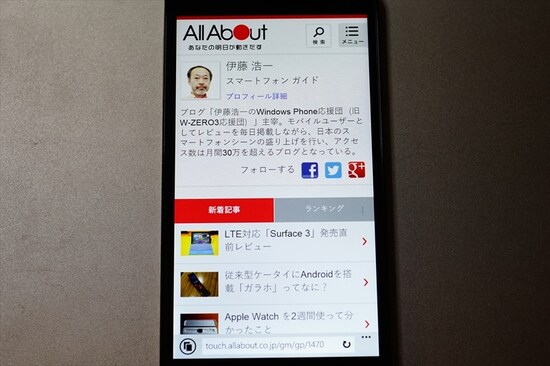 Internet Explorer。モバイル表示とPC表示に対応。