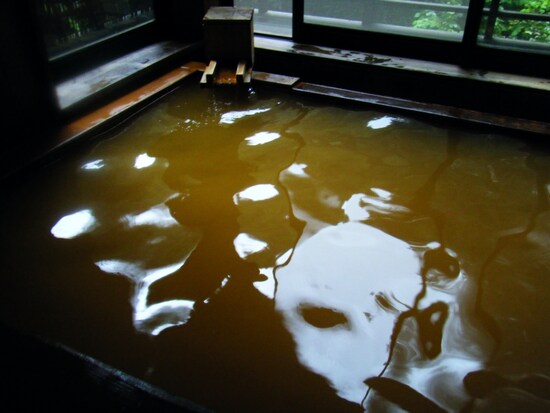 毒沢鉱泉　内湯