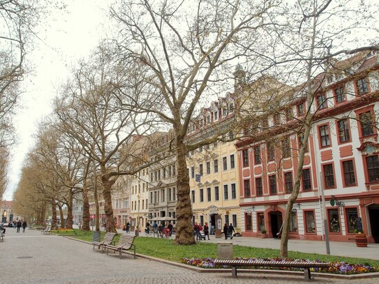 dresdenneu6