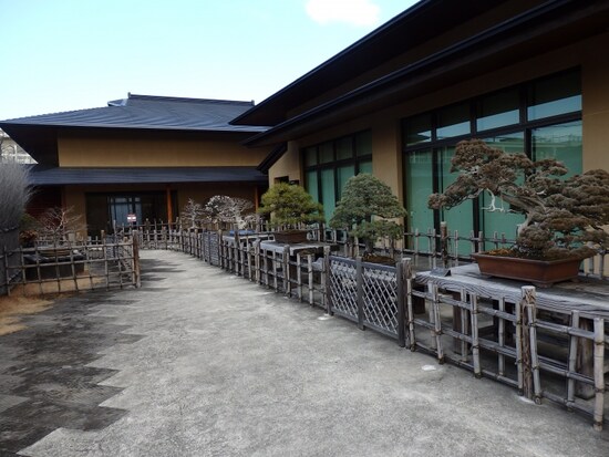 大宮盆栽美術館に展示される名品、優品