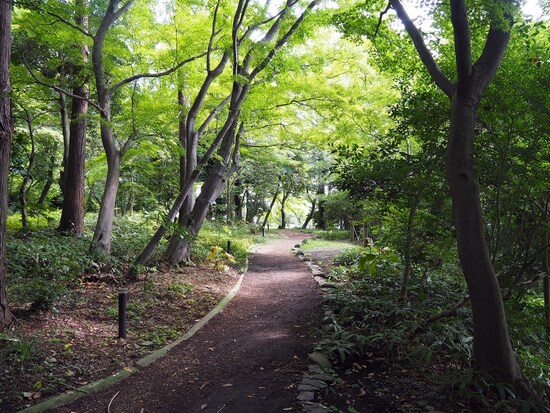 本多の森公園