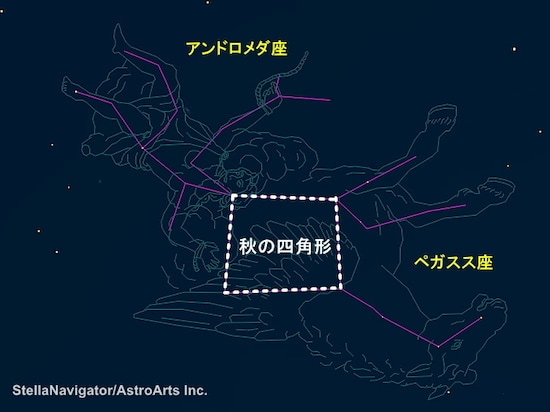秋の四角形