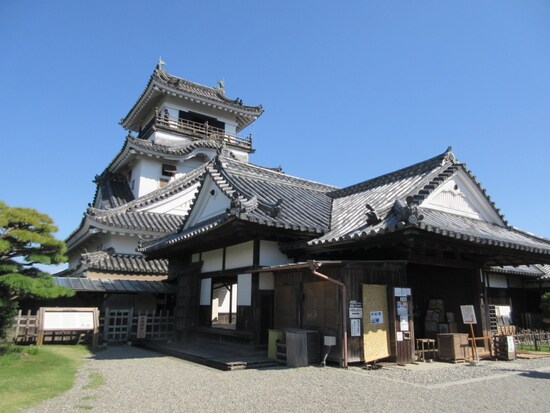 クルーズ