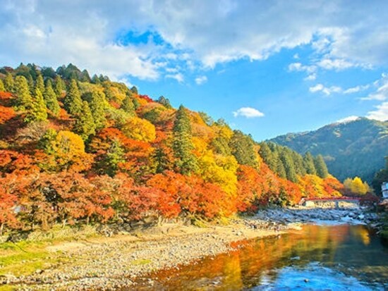 香嵐渓の紅葉の全景