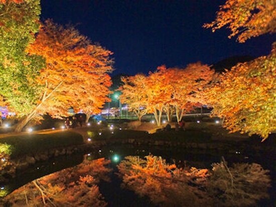 曽木公園の紅葉ライトアップ