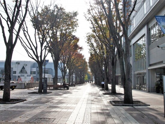 けっこう自然がいっぱいで歩いていても楽しい