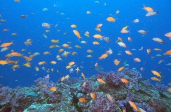 ダイビング,潜水時間