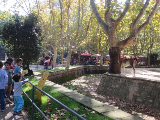 動物園