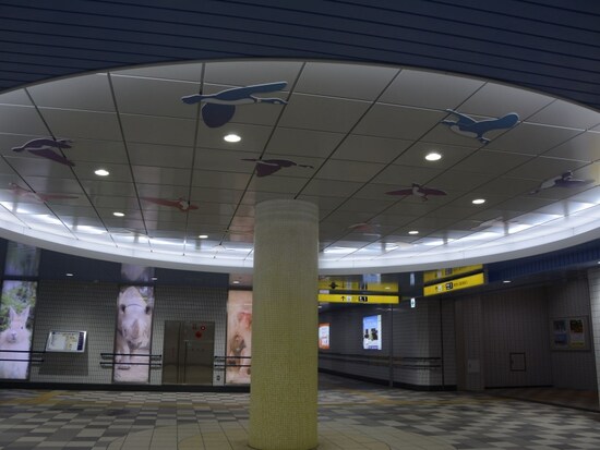 天井に描かれた鳥のイラスト