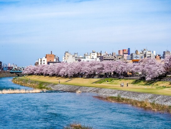 犀川河川敷