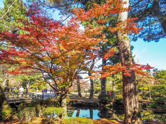 花見橋＠兼六園
