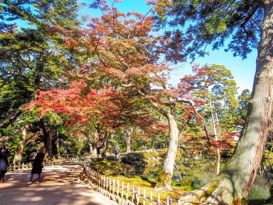 瓢池＠兼六園