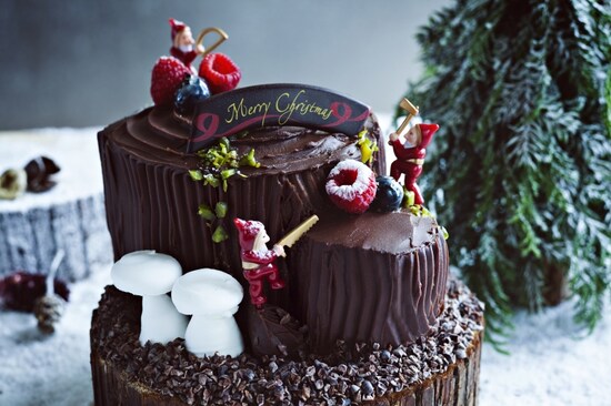 ブッシュ ド ノエル（15 cm） ￥4,500